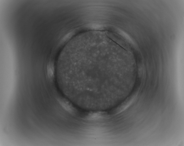 X0000111420072200908031313