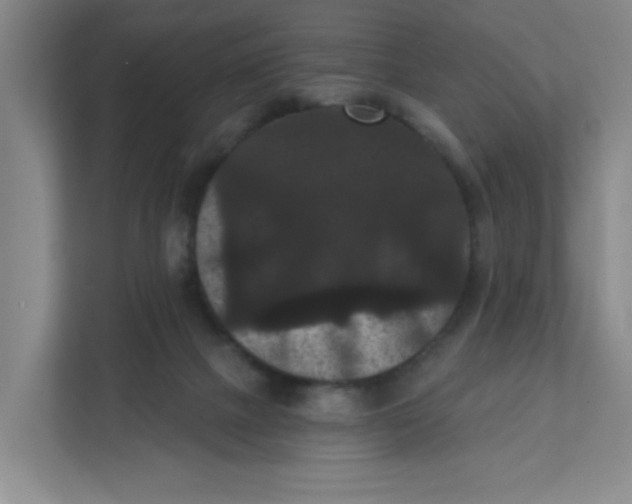 X0000111420073200908031313