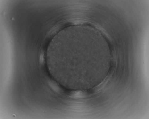 X0000111420074200908031313