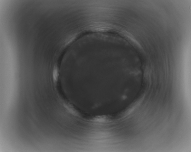X0000111420076200908031313