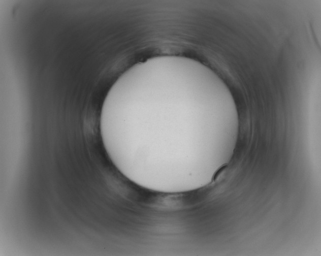 X0000111420078200908031313