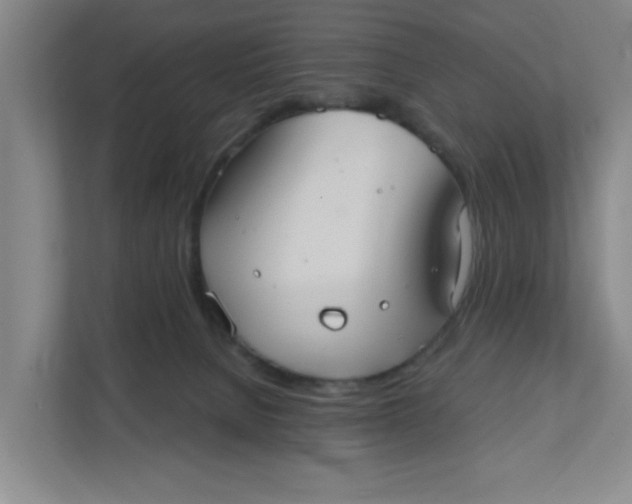 X0000111420080200908031313
