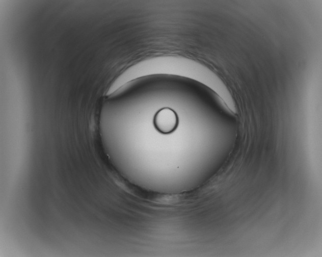 X0000111420084200908031313
