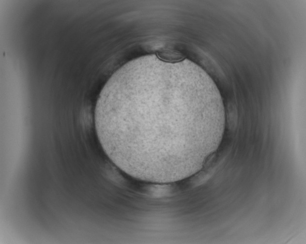 X0000111420085200908031313
