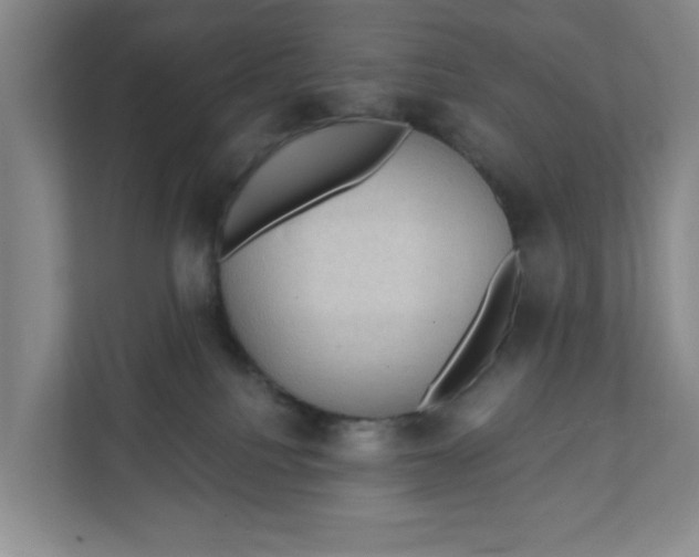X0000111420088200908031313