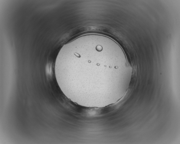 X0000111420094200908031313