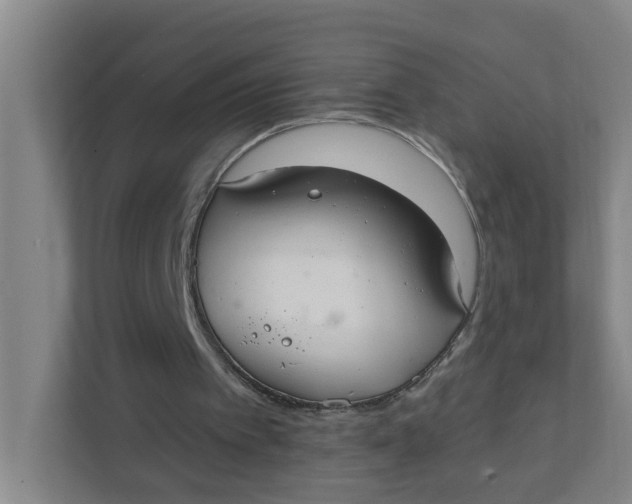 X0000111420097200908031313
