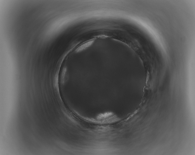 X0000111420099200908031313