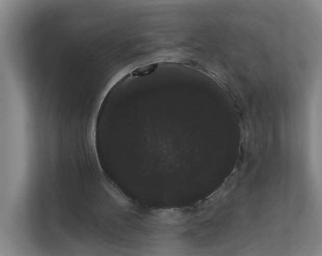 X0000111420100200908031313