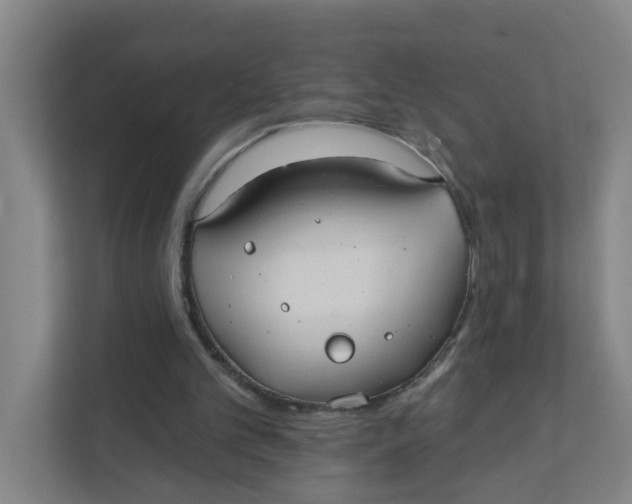 X0000111420101200908031313