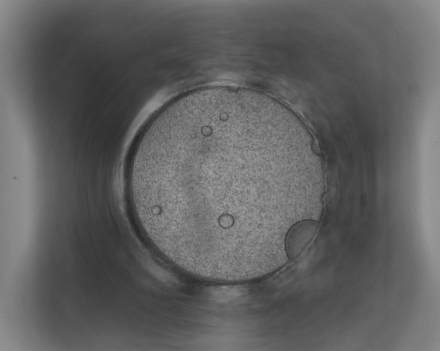X0000111420102200908031313