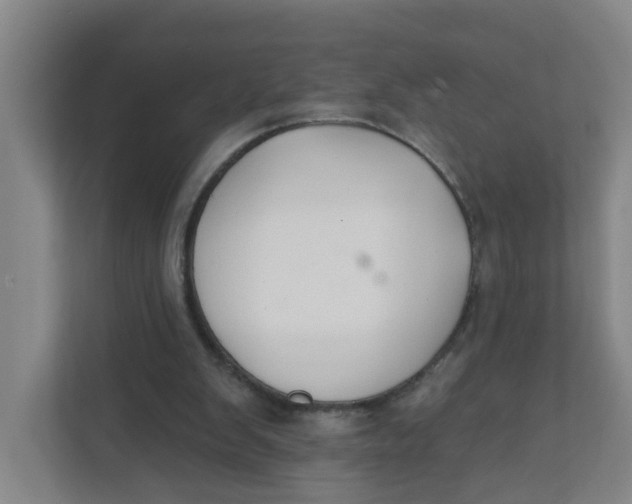 X0000111420103200908031313