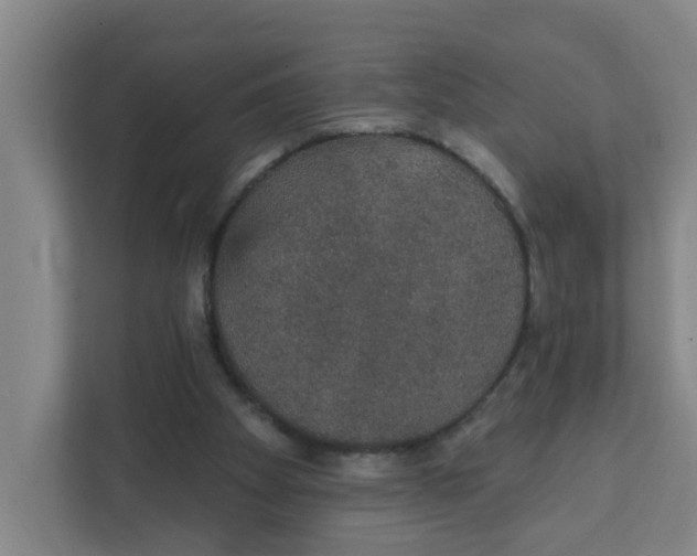 X0000111420105200908031313
