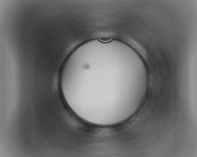 X0000111420107200908031313