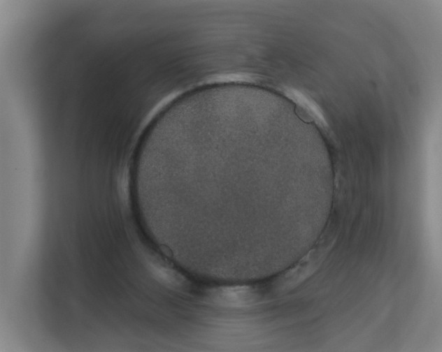 X0000111420108200908031313