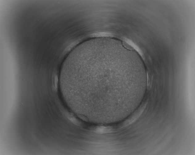 X0000111420109200908031313