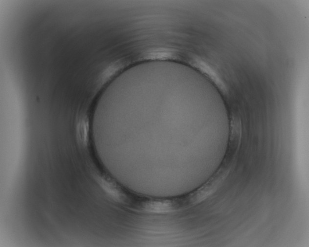 X0000111420110200908031313