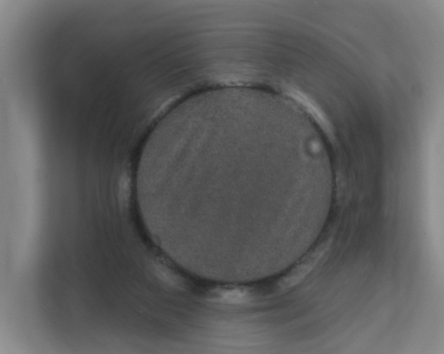 X0000111420113200908031313