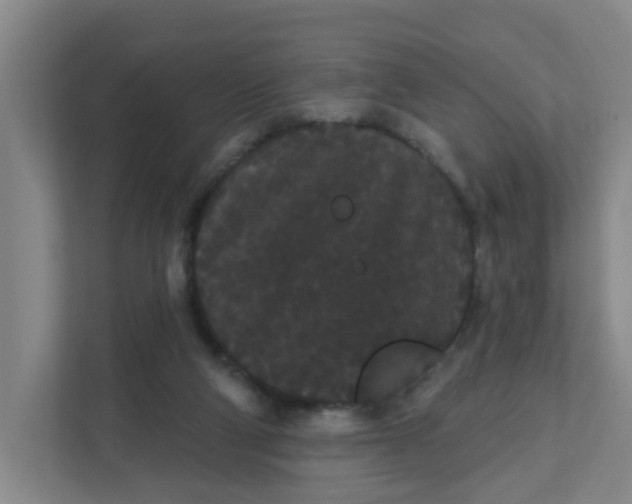 X0000111420114200908031313
