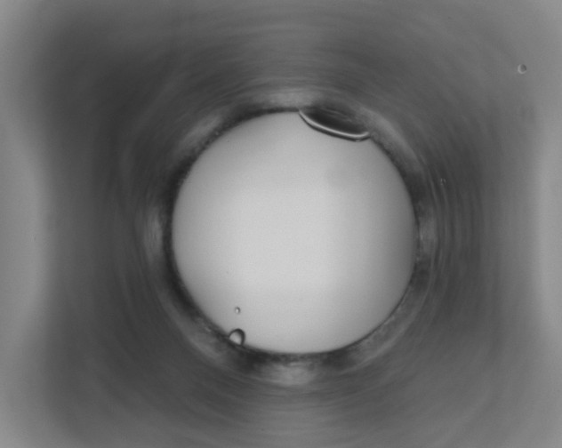 X0000111420120200908031313