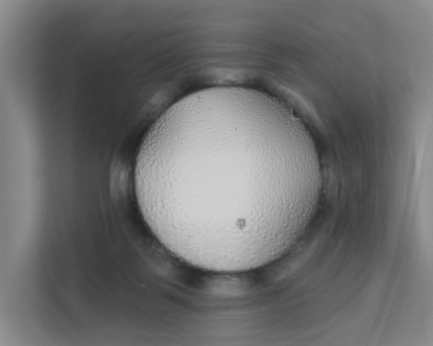 X0000111420123200908031312
