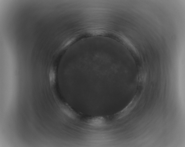 X0000111420124200908031312