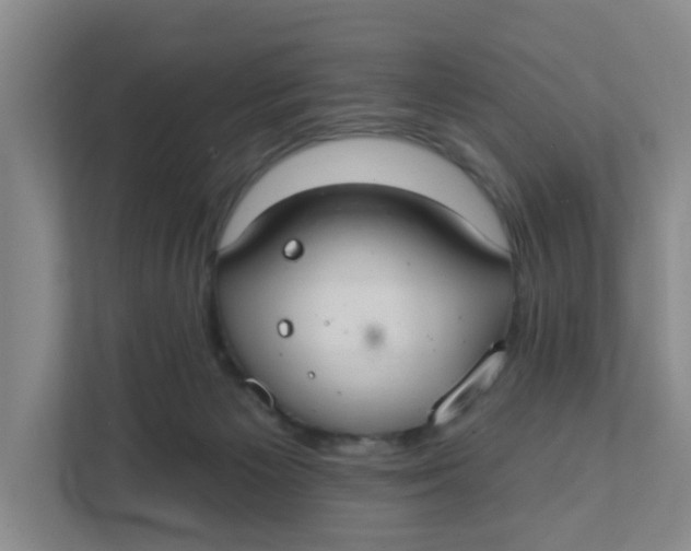 X0000111420125200908031312