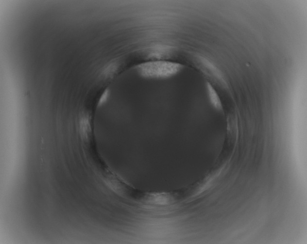 X0000111420127200908031312