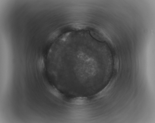 X0000111420128200908031312