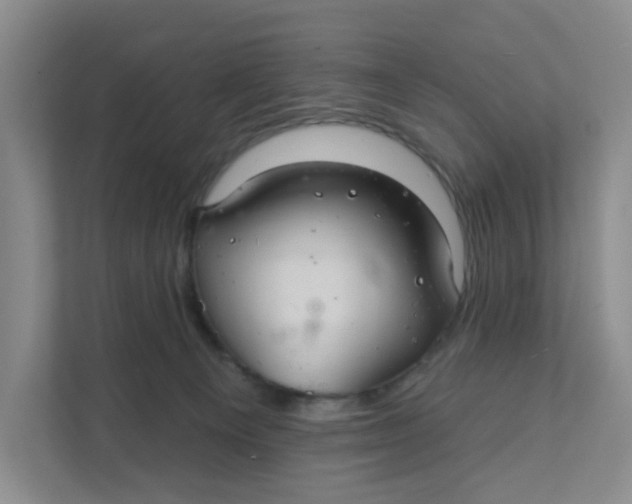 X0000111420129200908031312