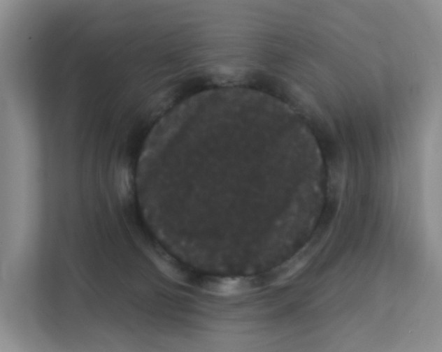 X0000111420130200908031312