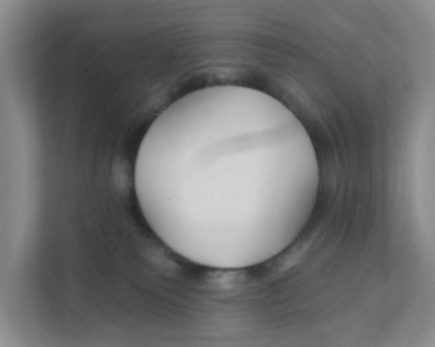 X0000111420135200908031312