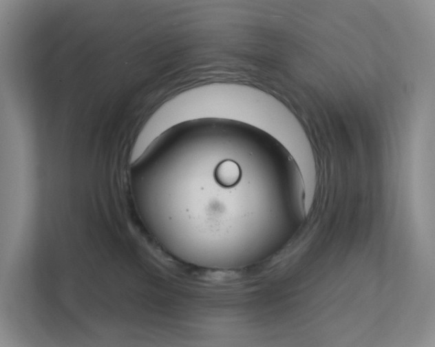 X0000111420137200908031312