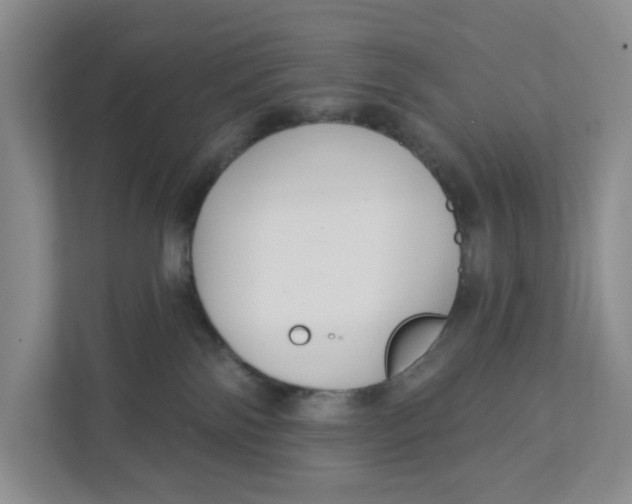 X0000111420138200908031312