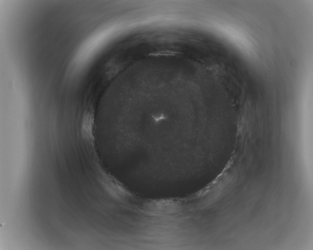 X0000111420146200908031312