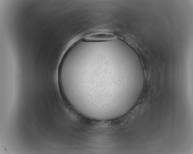 X0000111420148200908031312