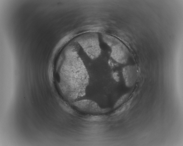X0000111420149200908031312