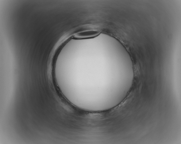X0000111420150200908031312