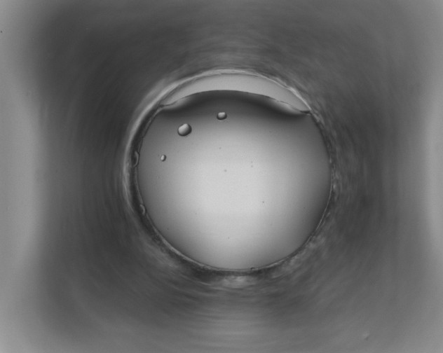 X0000111420152200908031312