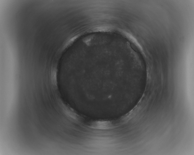 X0000111420154200908031312
