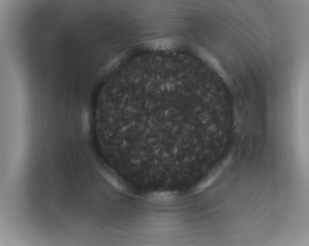 X0000111420161200908031312