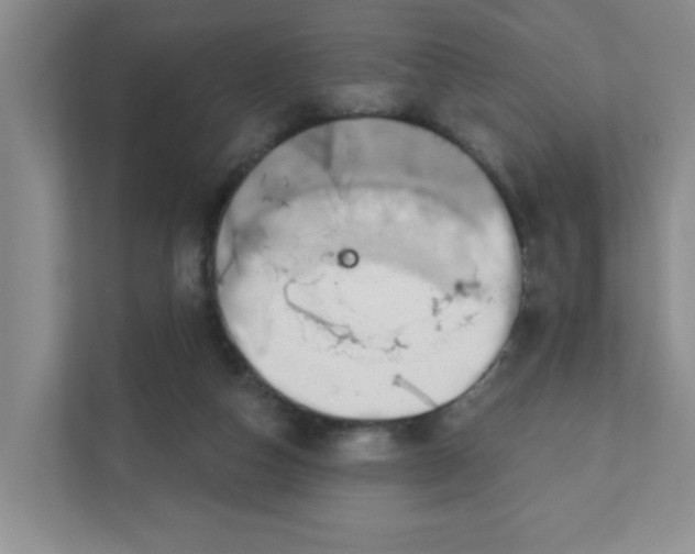 X0000111420162200908031312