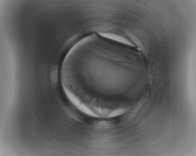 X0000111420163200908031312