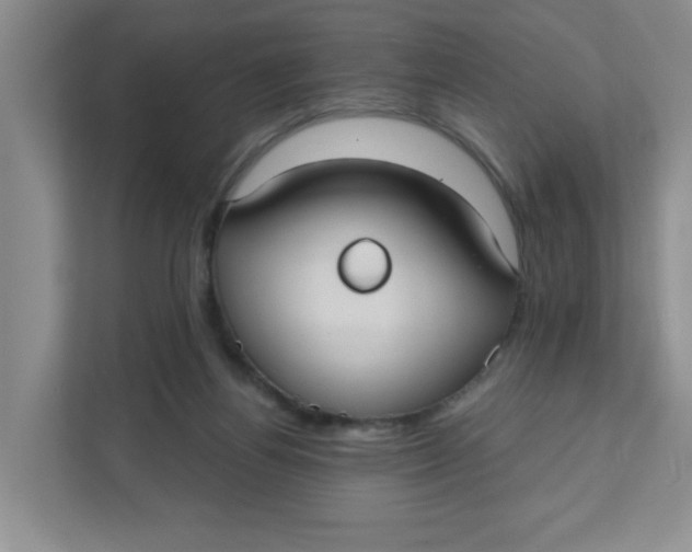 X0000111420164200908031312