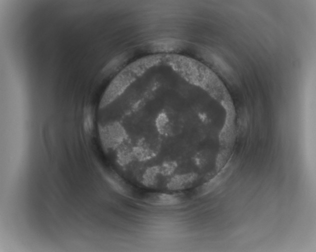 X0000111420166200908031312