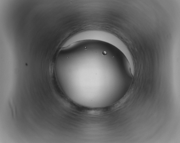 X0000111420168200908031312