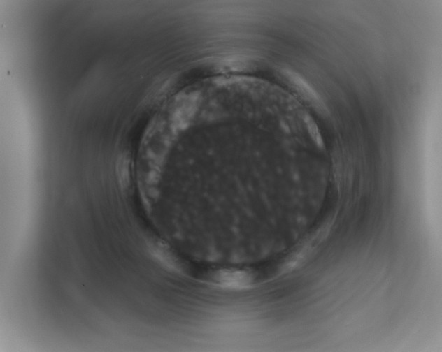 X0000111420169200908031312