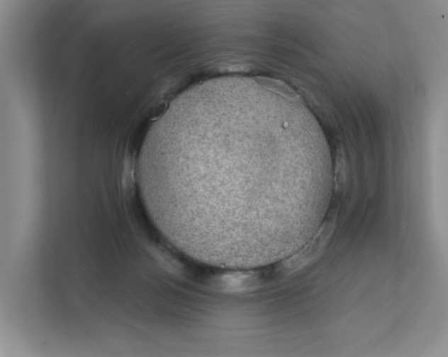 X0000111420172200908031312