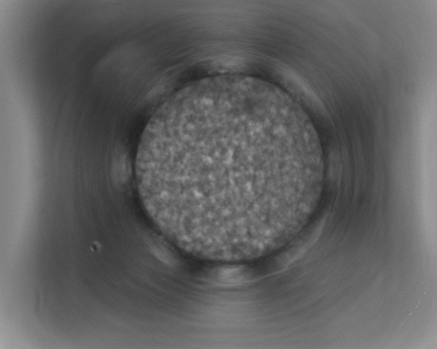 X0000111420173200908031312