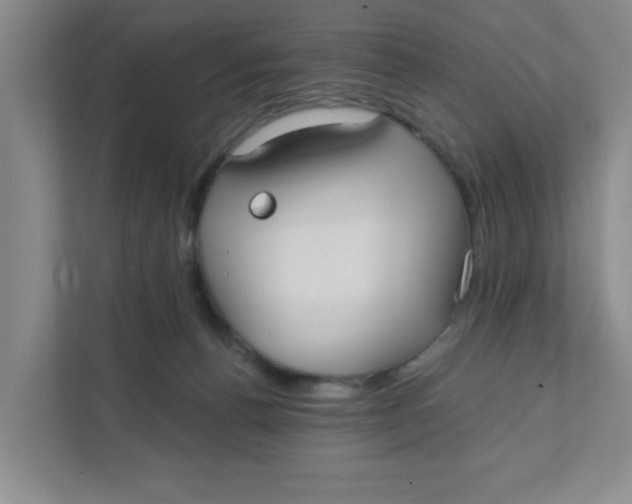 X0000111420176200908031312